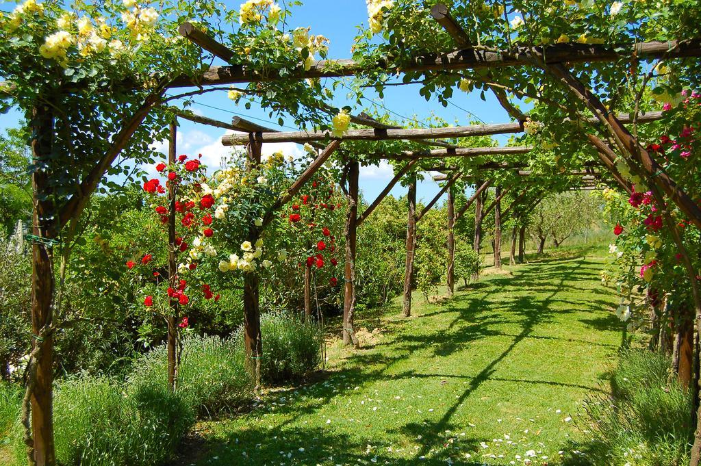 Agriturismo Casale Dei Frontini San Terenziano エクステリア 写真