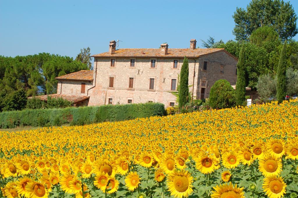 Agriturismo Casale Dei Frontini San Terenziano エクステリア 写真
