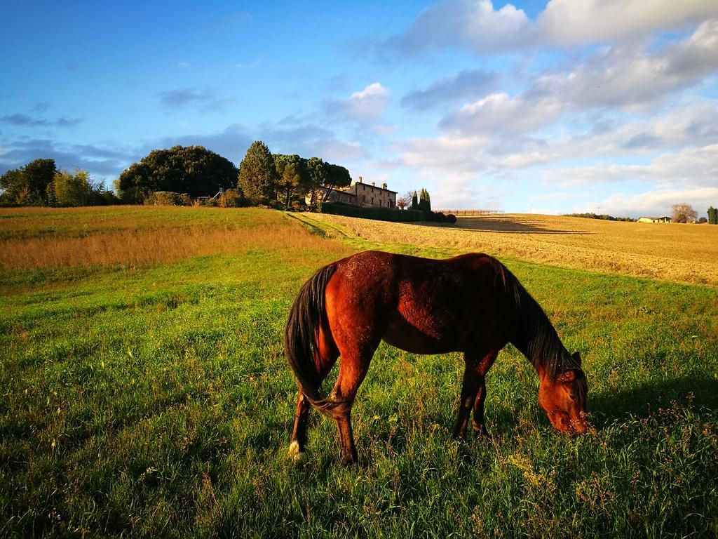 Agriturismo Casale Dei Frontini San Terenziano エクステリア 写真