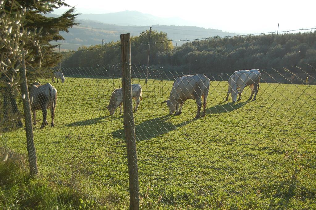 Agriturismo Casale Dei Frontini San Terenziano エクステリア 写真