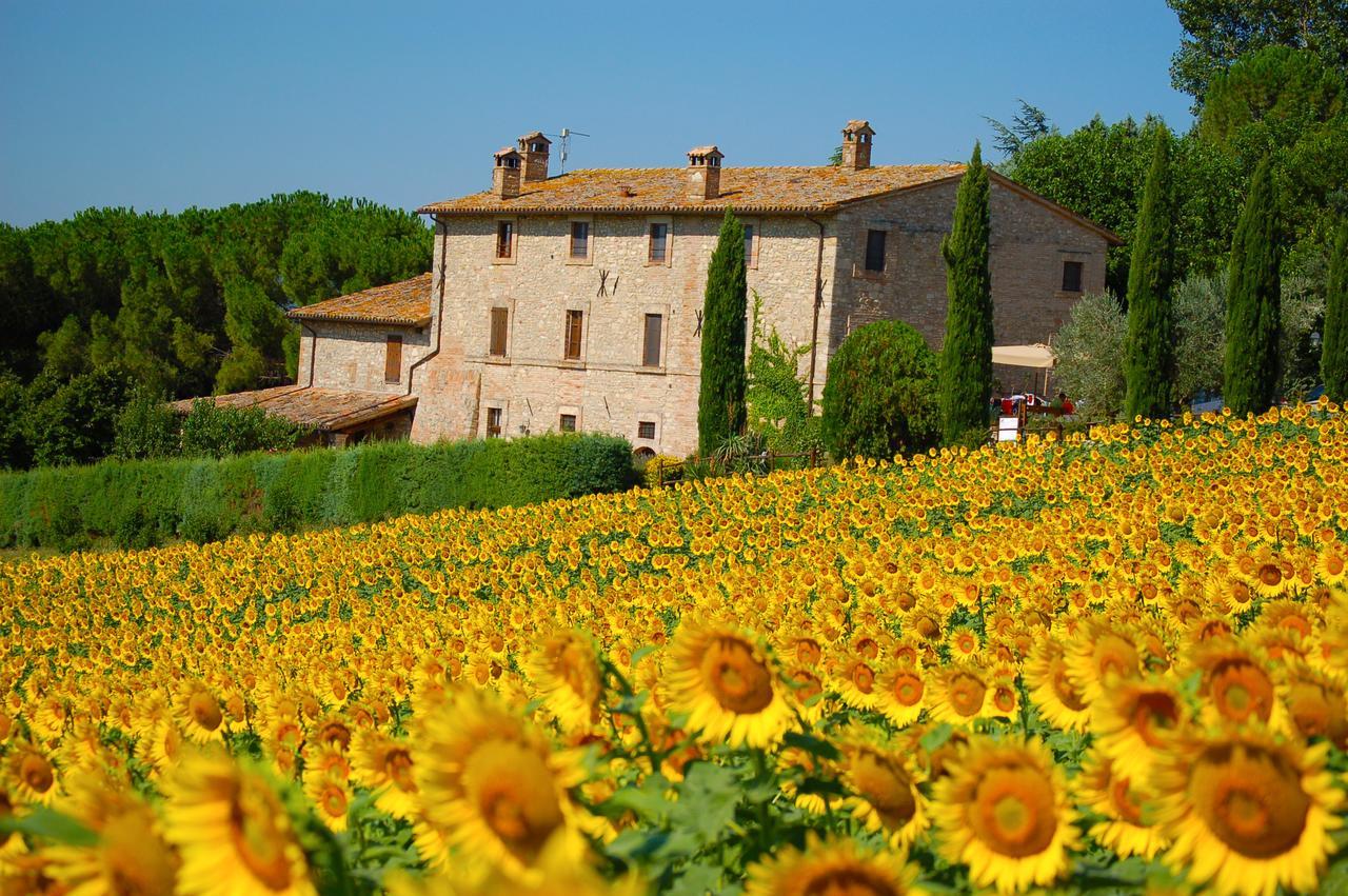 Agriturismo Casale Dei Frontini San Terenziano エクステリア 写真